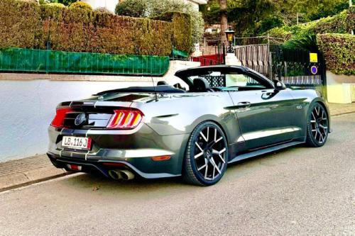 Mustang-GT-3 (1)